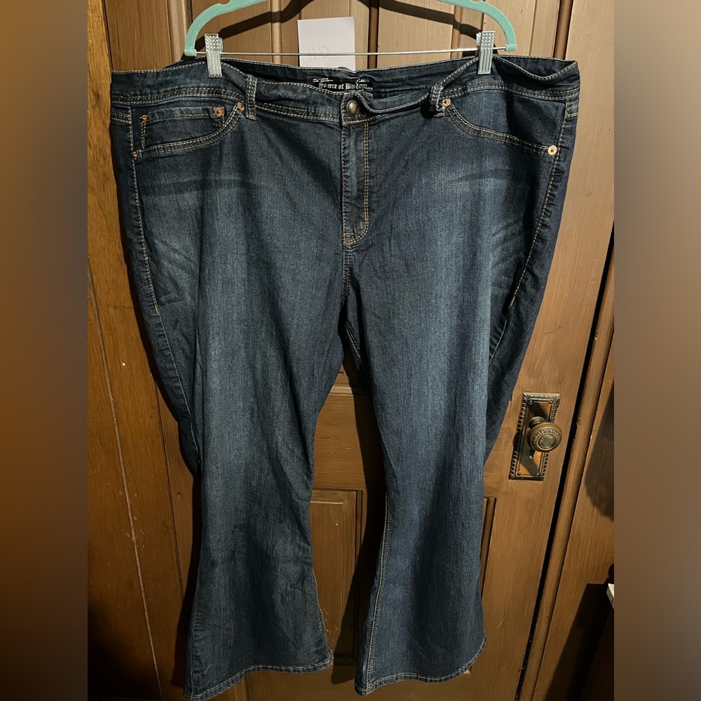 Plus size Flare Jeans